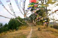 Namobouddha